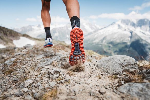 Кросівки для бігу чоловічі Altra Lone Peak Chamonix 4.5 (сіро-синій), 42, Середня